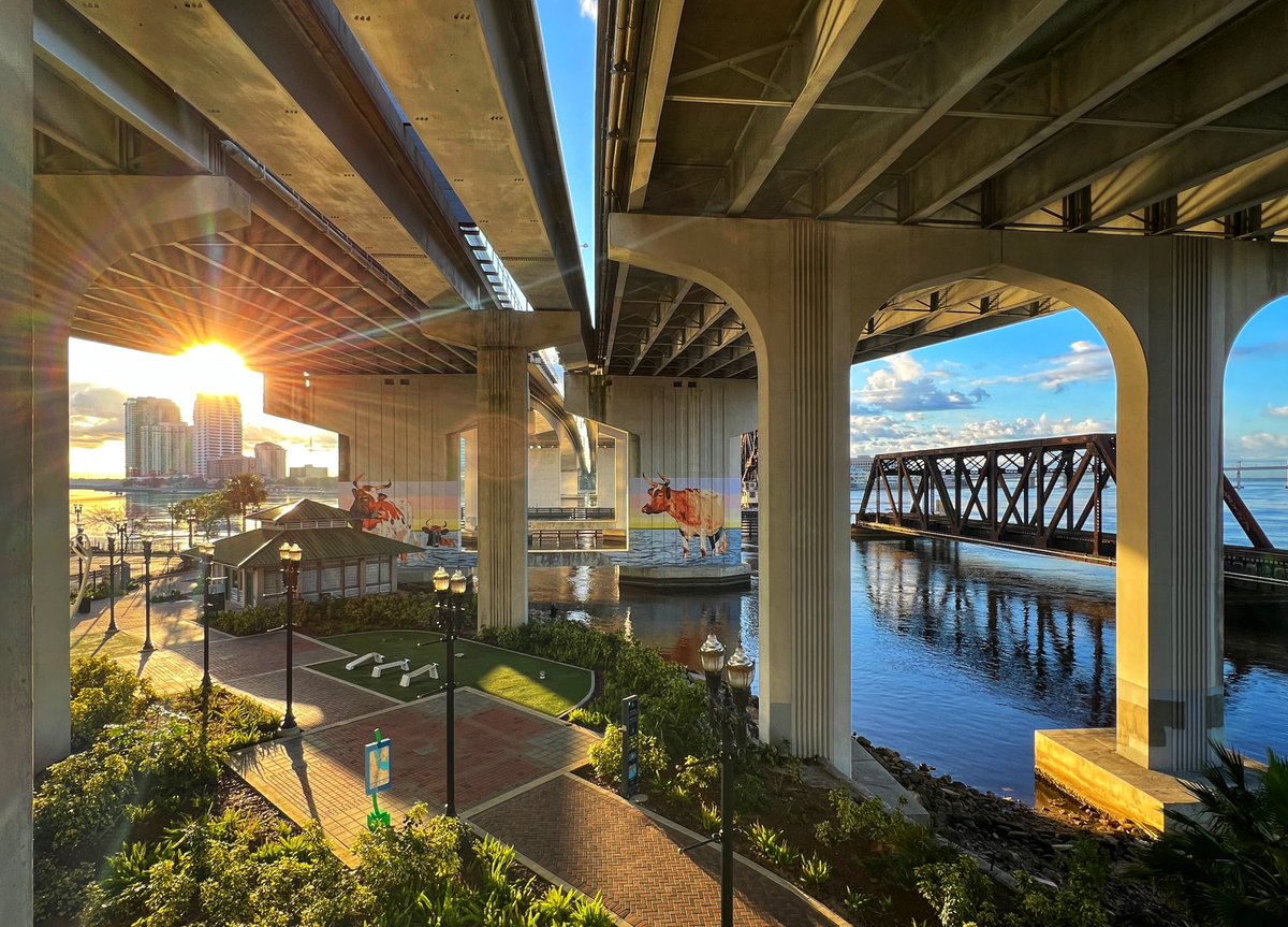 DawnEmerickEdD's tweet photo. What an absolute gorgeous walk this morning. Sheesh we live in a beautiful city. #duuuval #Jacksonville https://t.co/DZR907S6MQ