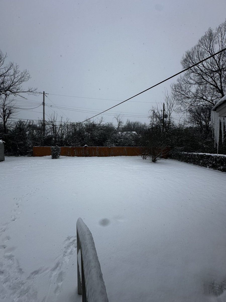 tythadonn's tweet image. my backyard….. #Memphis ❄️