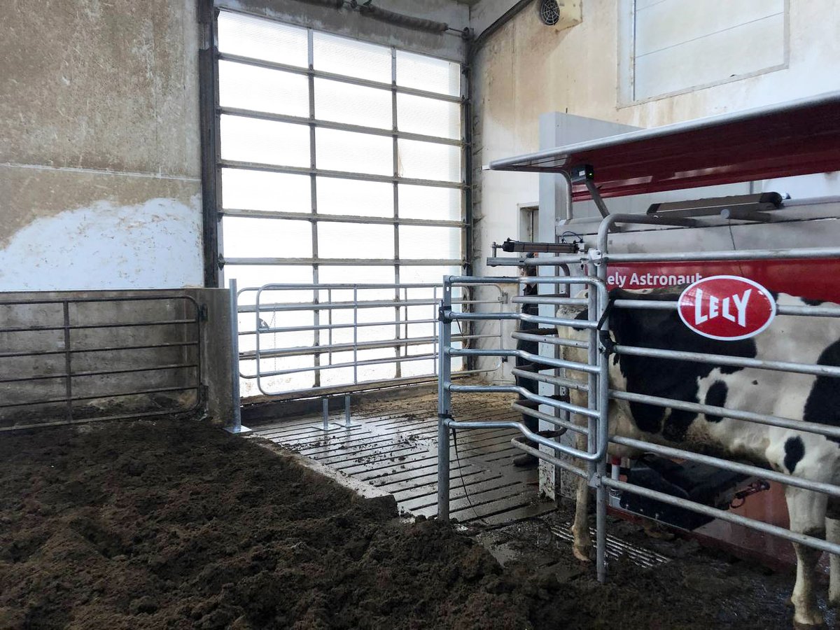 GRRobotics's tweet photo. Last week while installing the Lely A5 at Holmdale Farms, we also added an automatic #Boetech lift gate.
Benefits of this gate?
-Labour savings on fetch cows 
-Gates automatically open after cow IDs in the robot
-Eliminates having a permanent fetch pen
-&amp; More
#Grandriverrobotics https://t.co/GtVV9h22cZ