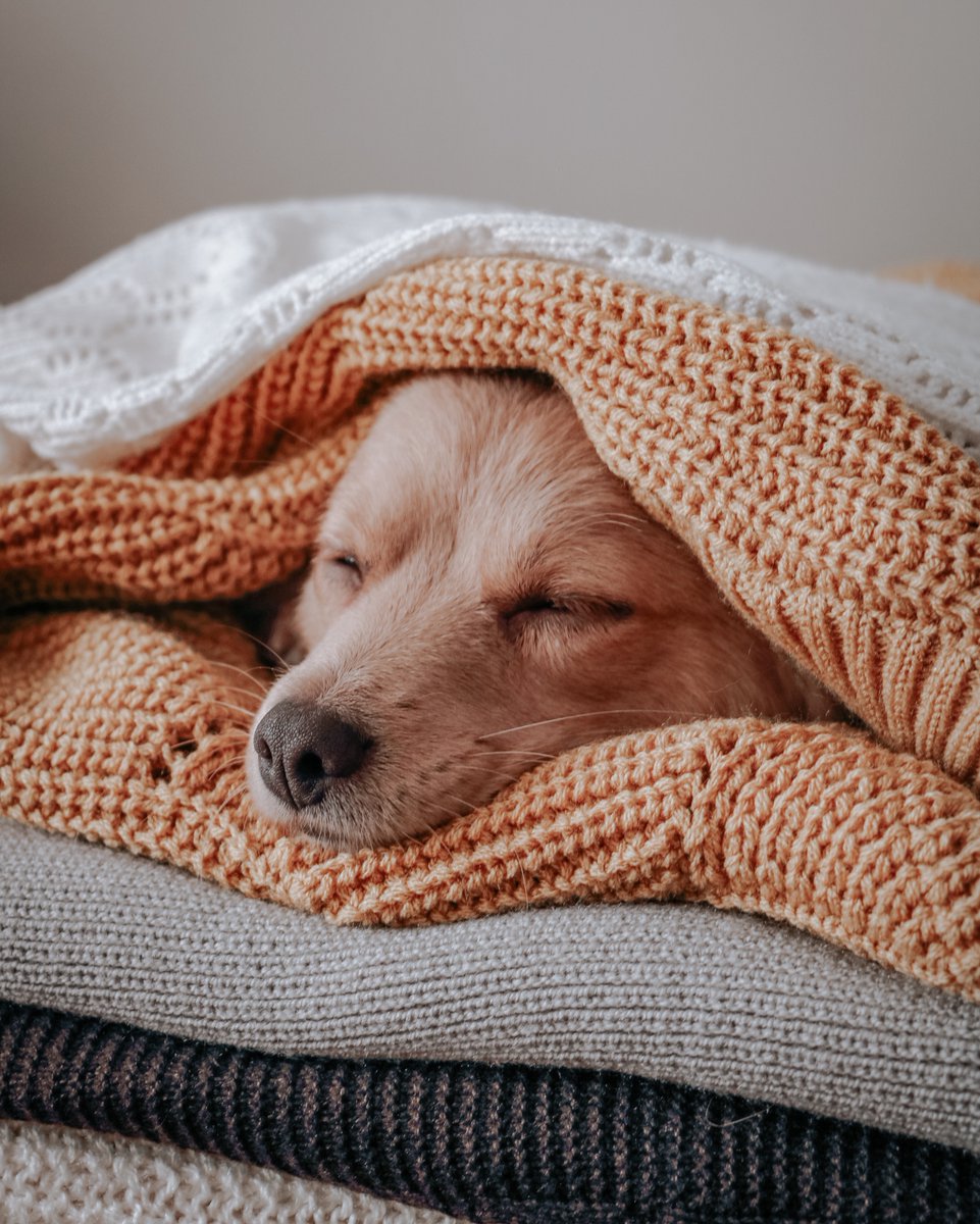 WarmResponse's tweet image. Who else is feeling the struggle of these freezing January days? 😴 We're eagerly awaiting those warmer sunny spring days! 🌷 

Hurry up, sunshine, we're ready for you! ☀️