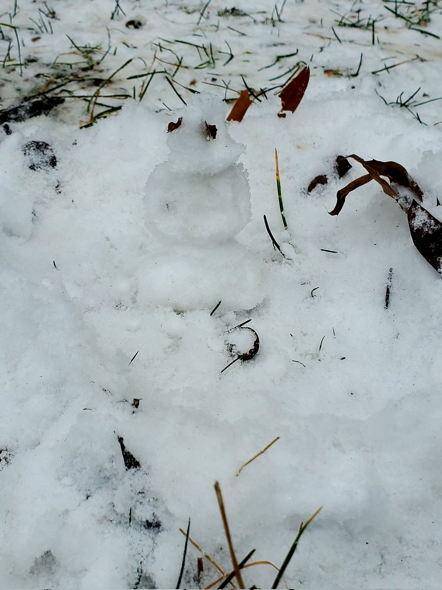 Jennifer Buske tweet media