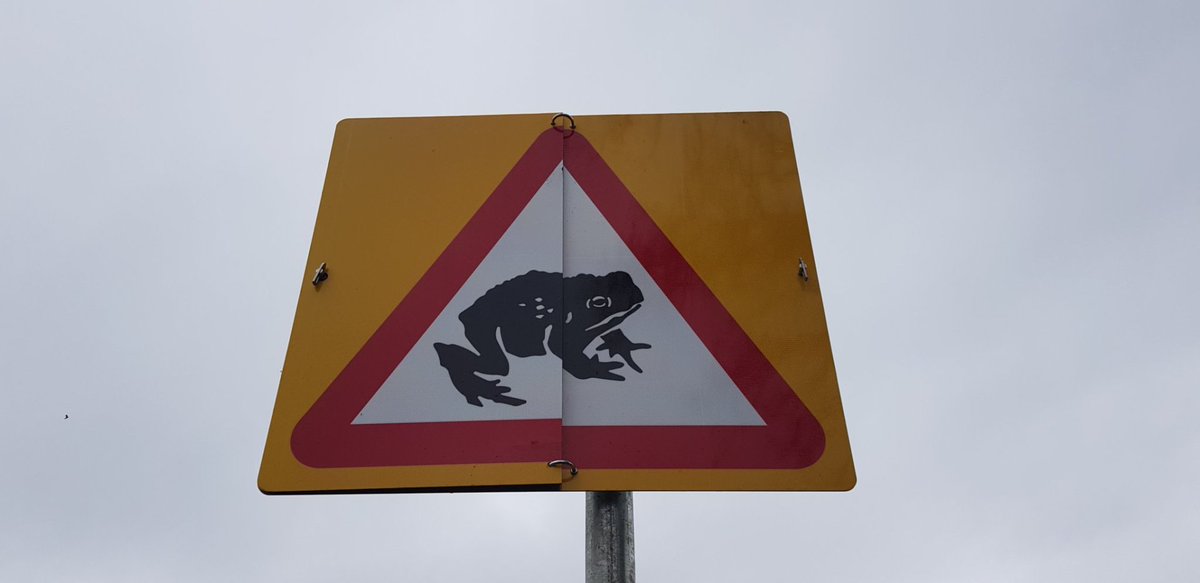 Tonight! Our toad patrols information drop-in at The New Horseshoe, Sandbach Road, Church Lawton, #Cheshire 7pm till 8pm. All welcome! #ToadsOnRoads @froglife @ARGroupsUK @CheshireWT