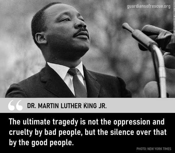 guardiansusa's tweet photo. On Martin Luther King Jr. Day we are mindful that being a voice against cruelty, oppression, and injustice - wherever it occurs - is our duty. If you see something, say something, and together we'll save them. https://t.co/WEkFln4lvA https://t.co/CCzR0F9uwm