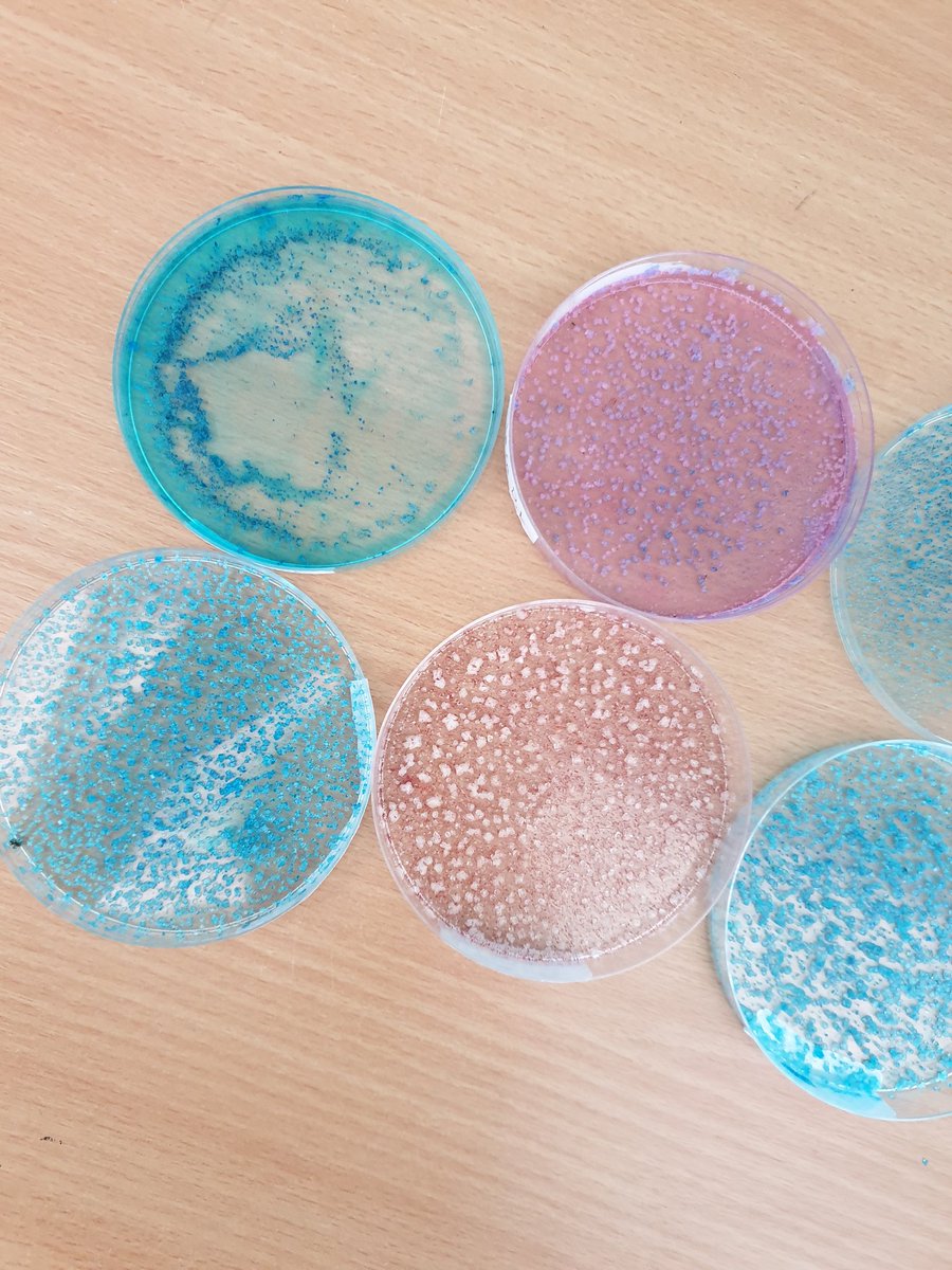 Whitchurch1's tweet photo. Today year 6 looked at the crystals they had made before the holidays #evaporation #wpsscience https://t.co/6b8IT9J7Oa