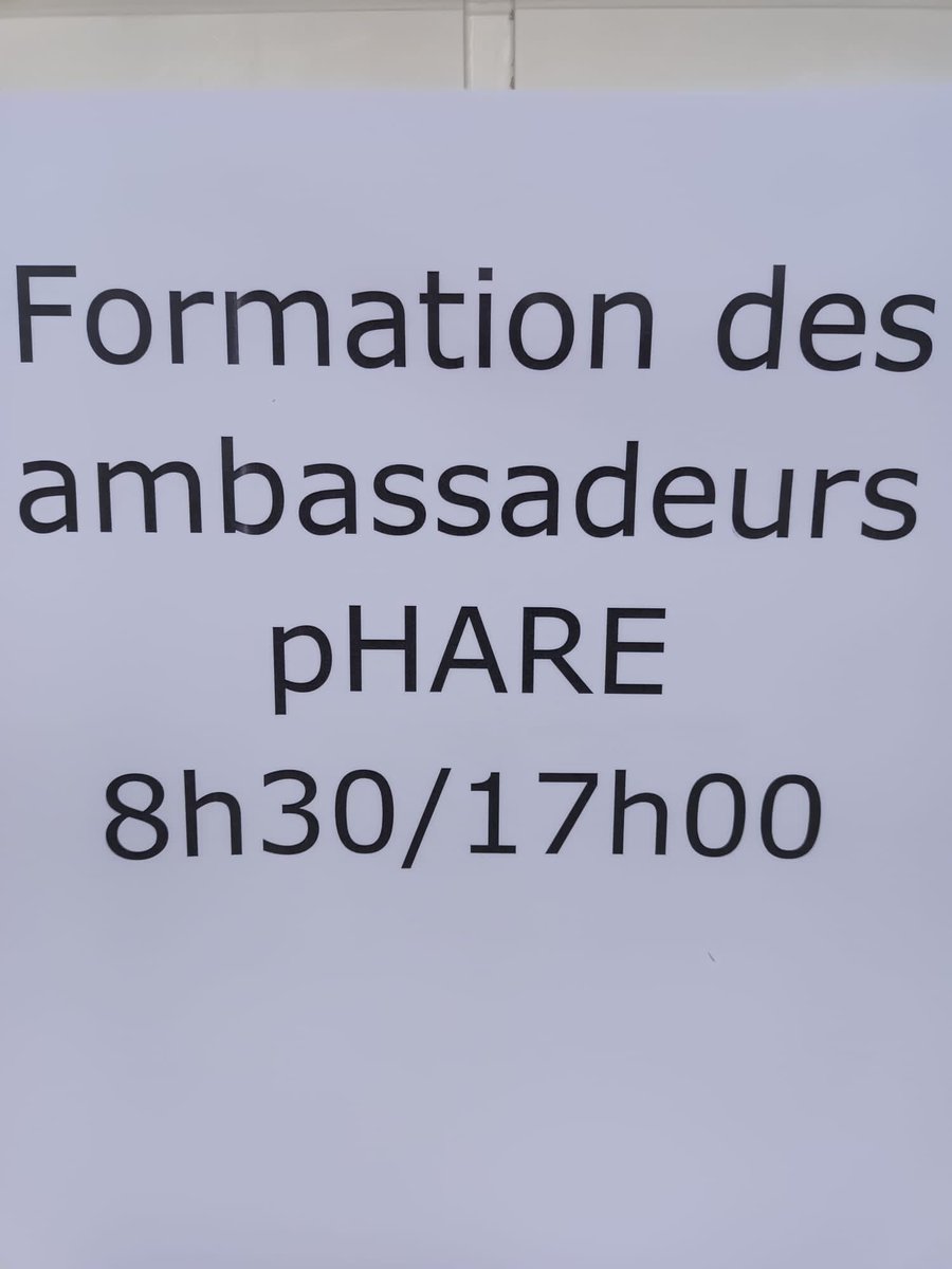 LaBarousse's tweet photo. Journée de formation pour nos élèves ambassadeurs contre le harcèlement #pHARe #NAH @DSDEN65 https://t.co/yw4nDPGBHW