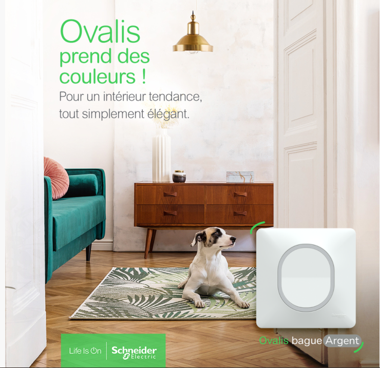 SchneiderElecFR's tweet photo. Ovalis prend des couleurs !
Entre la finesse de l'argent et l'intensité du laiton, les nouvelles finitions "Bague" de la collection #Ovalis confèrent une touche d'éclat et de vivacité à tous les intérieurs 👉https://t.co/NYP6qBp0JN https://t.co/2oPldiPfNj