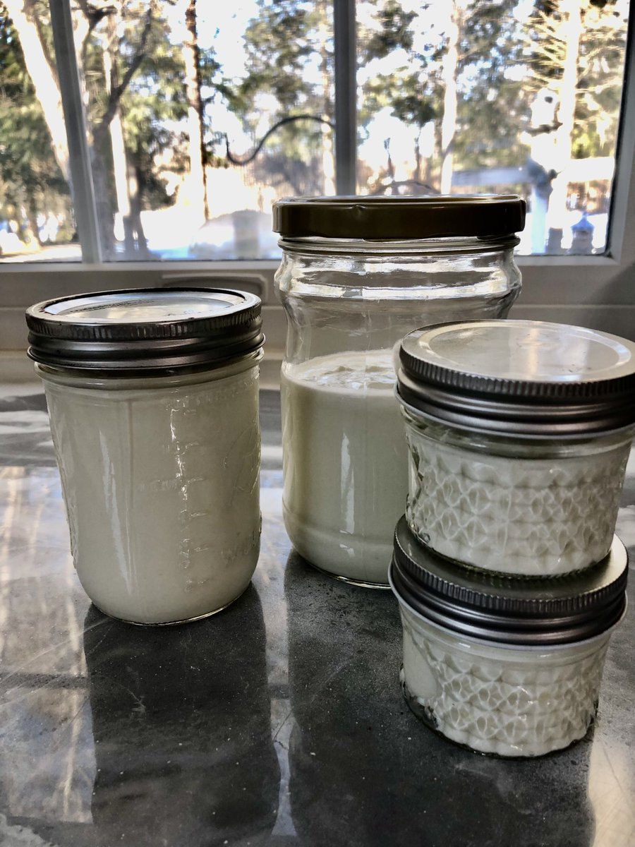 OaknThyme's tweet photo. This weekend I tried my hand at yogurt making. I am pleased with the results, and think I can streamline the process a bit. I just need to get the final product a little tarter in flavor.🤔 #yogurtmaking #homecooking https://t.co/aH6xL2uhcX