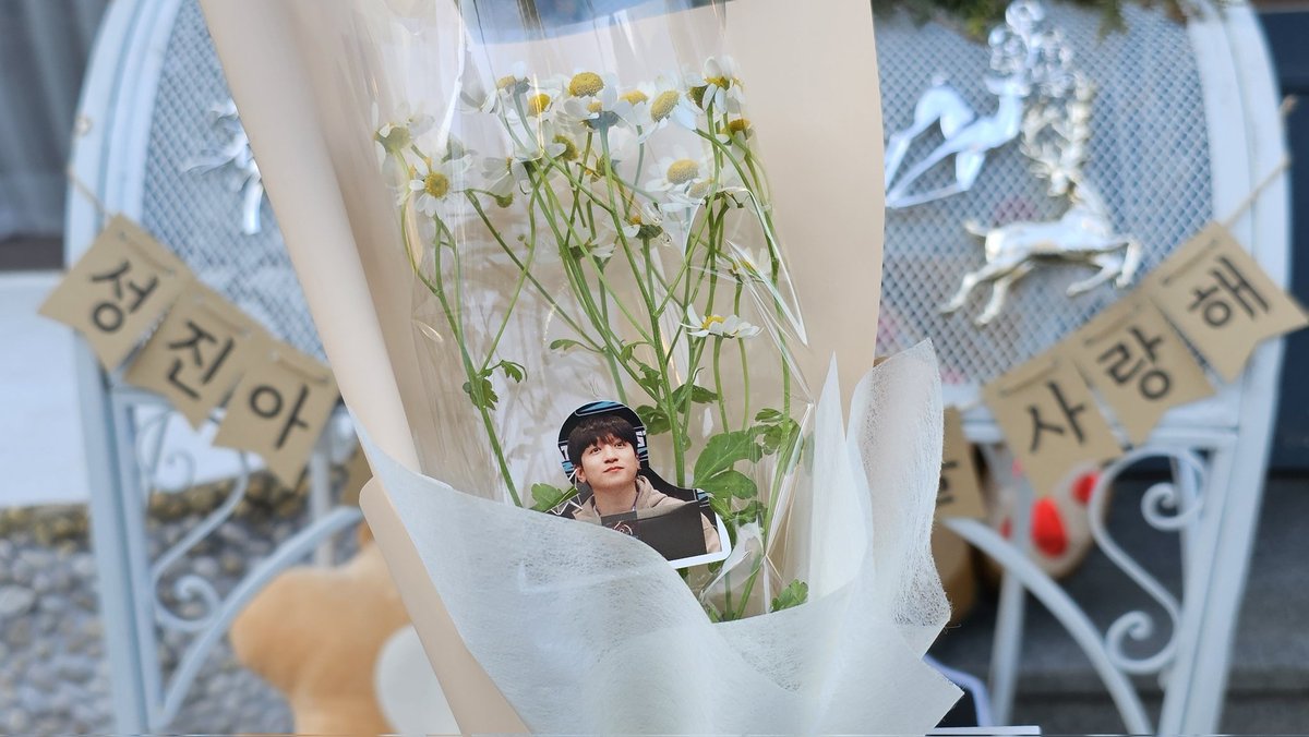 꽃이 생화인지 모르고 칠렐레팔레레 바닥물청소 시도🙏
다정한 사람과의 만남이 필요할 땐 꽃을 사봅니다🫶
#성진아_너의_다정함을_사랑해
#Dont_be_Afraid_my_lover