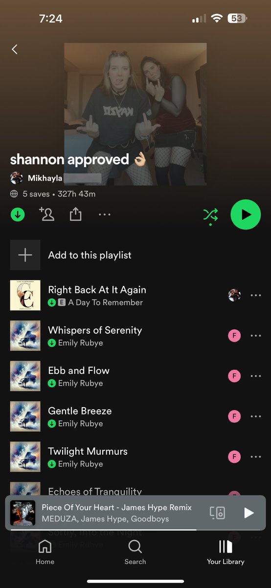 SOMEONE HACKED MY SPOTIFY 😭 me and my best friend have been working on this playlist since college and someone deleted all but one song and added 327 hours of white noise 😭 HELP ME IM SO SAD
