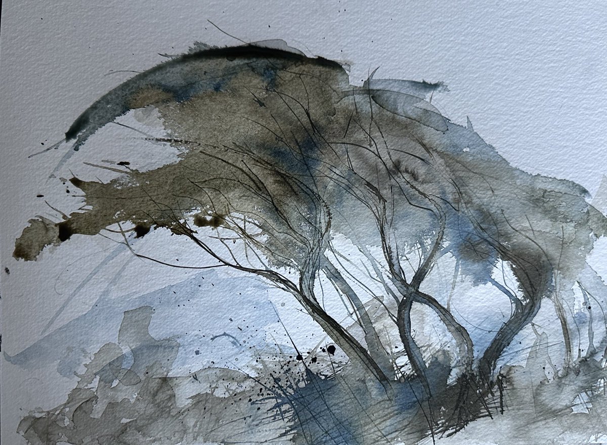 #WIP #Cornish #Hedge #Hawthorn #sketchink #watercolourpaper #brushes #dippen