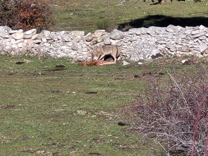 Foto cedida por UGAMA