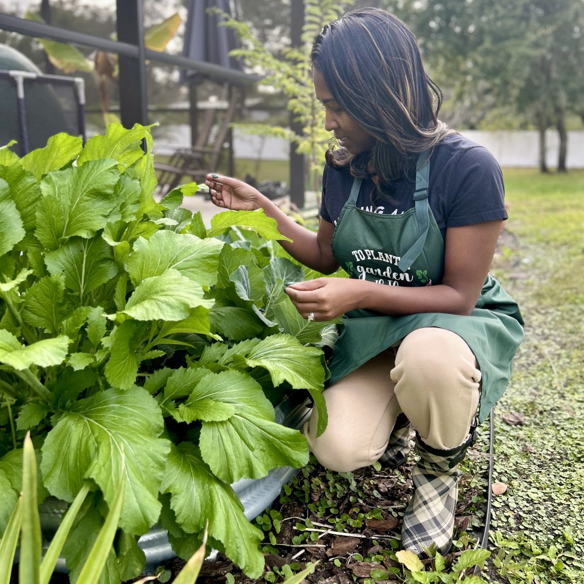 CookPraySlay's tweet photo. Dr. Martin Luther King Jr’s dream of equality &amp; justice extends to all areas, including our food system. Food justice is more than just access to healthy food; it’s about insuring equitable food systems for ALL. Let’s continue to plant seeds of Hope #MLKDay #foodjustice 💚 https://t.co/URTlgIykPn