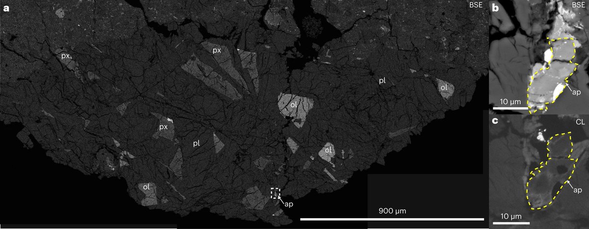 Isotopic analysis of an apatite mineral in the lunar meteorite Arabian Peninsula 007, dating from 4467–4540 million years ago, indicates very early fractionation of volatiles and a very volatile-rich lunar crust. Hayden (<a href="/MiniMoonRocks/">Dr. Tara Hayden, PhD 👩‍🚀</a>) et al.: nature.com/articles/s4155…