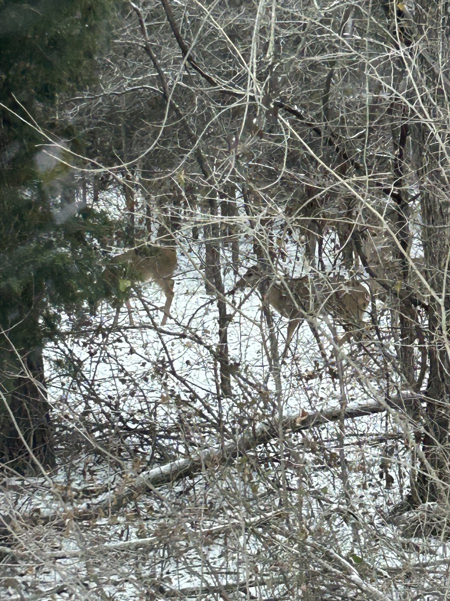 LesliWare1's tweet photo. Lake effect snow today makes for beautiful views ⁦@gograpevine⁩ ⁦@GrapevineTXCity⁩ https://t.co/isEWQ5rD2o