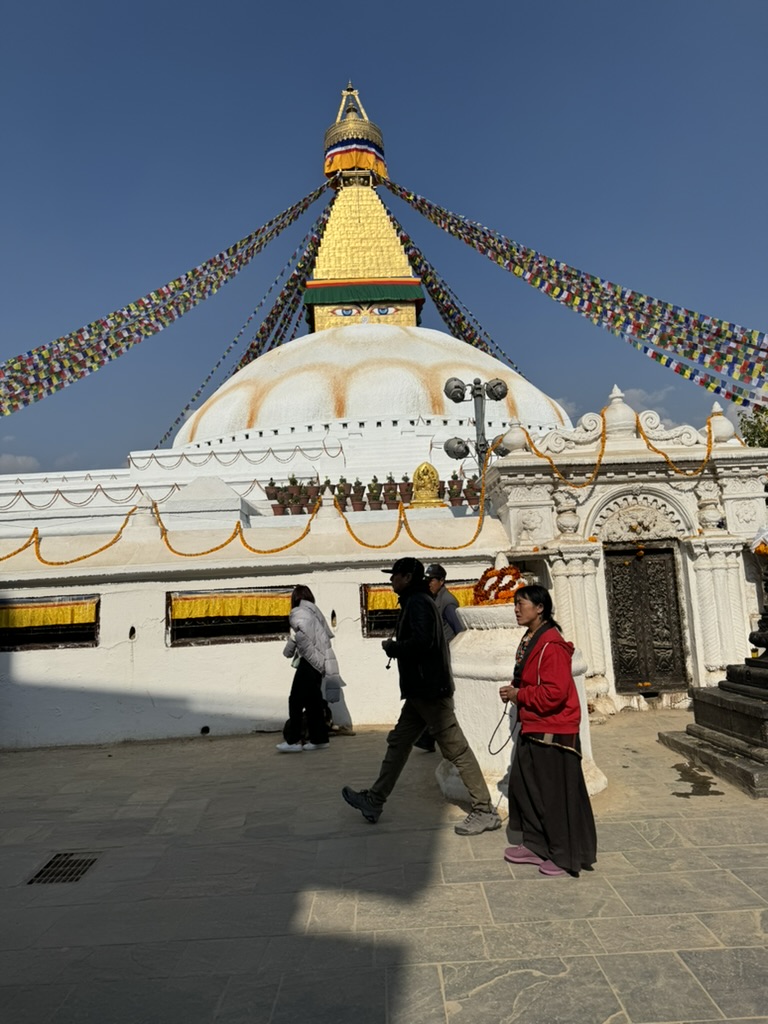 UMD Global STEWARDS tweet media