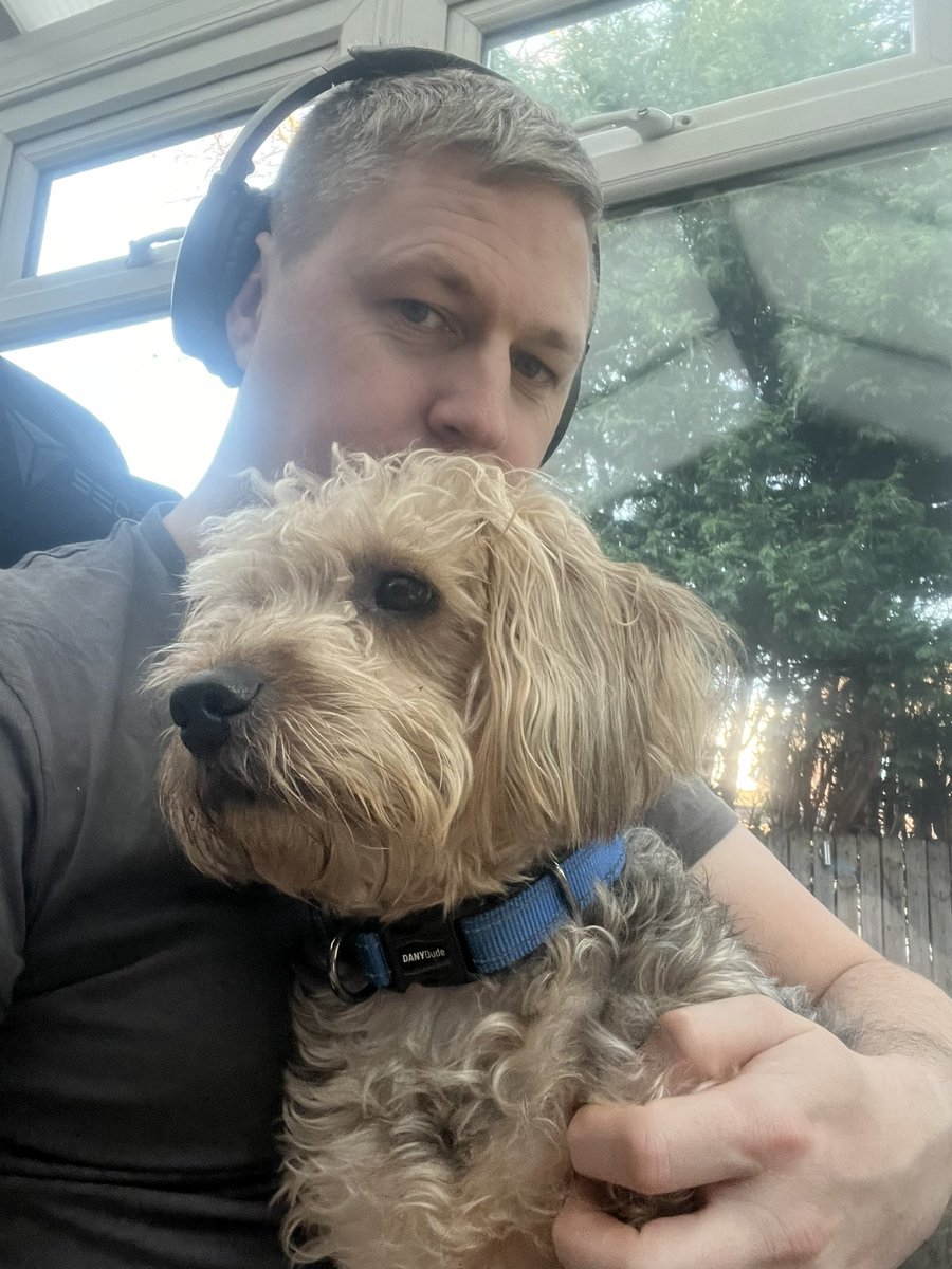 It’s cold outside so his favourite spot of today was on my lap between calls