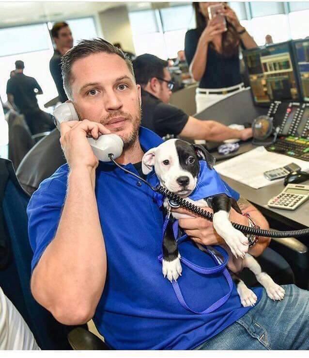 dominic dyer tweet media