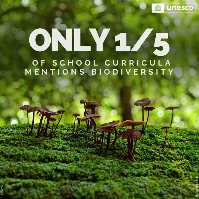 UNBiodiversity's tweet image. The #biodiversity crisis is largely undervalued. Today, most of our attention is focused on climate change. 

Yet these crises are interrelated and must be addressed together.  

It&apos;s time we talk about biodiversity, and it begins through education.

Via: @UNESCO