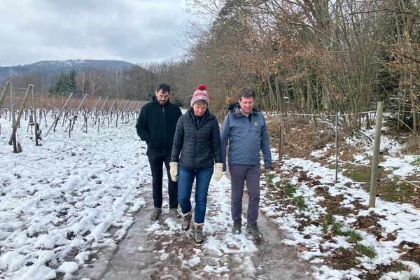 France 3 Alsace tweet media