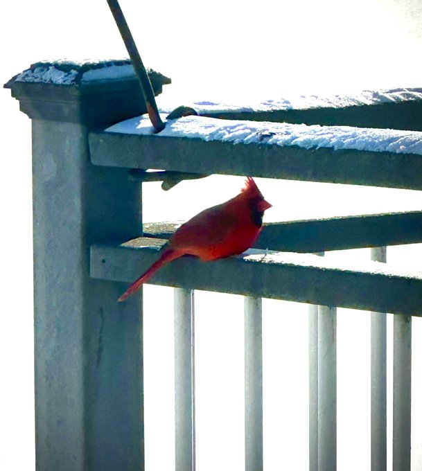 Amongst hard times&hellip;there is beauty. Loved ones will always surround you. https://t.co/FxgXYI47qe<a href="/tag/summer"class="tags"><span>#summer</span></a><a href="/tag/dallas"class="tags"><span>#dallas</span></a><a href="/tag/saturdayvibes"class="tags"><span>#saturdayvibes</span></a><a href="/tag/80smusic"class="tags"><span>#80smusic</span></a><a href="/tag/boy"class="tags"><span>#boy</span></a>