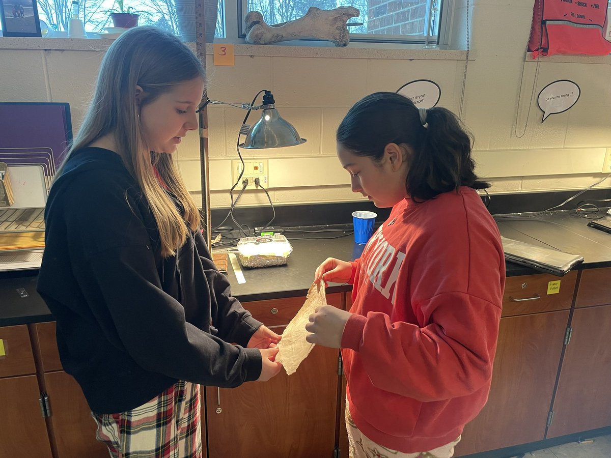 Sara Schymick tweet media