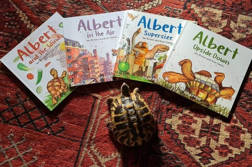 AlbertTortoise's tweet photo. We love to see YOUR #tortoises and #turtles posing with our #ALBERTthetortoise goodies like this chap and their collection of #picturebooks. Posing now possible with six ALBERT picturebooks, #BoardBook and #ActivityBook https://t.co/sGYhBlFUhP
#tortoisebooks #illustration https://t.co/T6vWN6iZpy