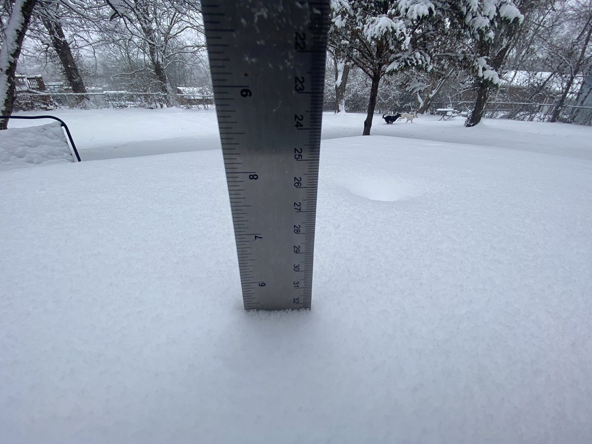 FamesJolsom's tweet photo. 5.5” in Inglewood, East Nashville!!! Dogs are loving it! @NashSevereWx https://t.co/foYNtNwrSG