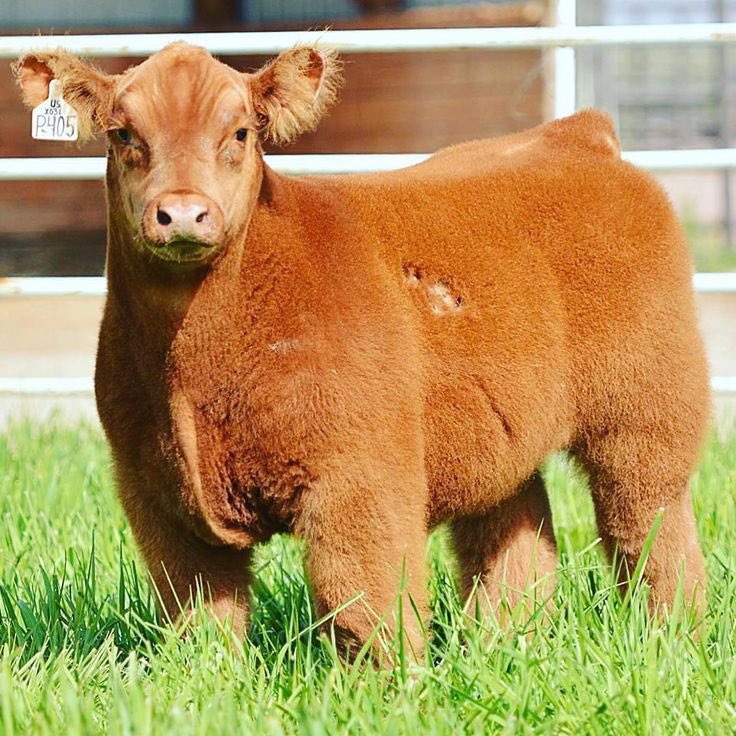 Science girl tweet media