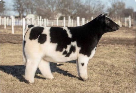 Science girl tweet media