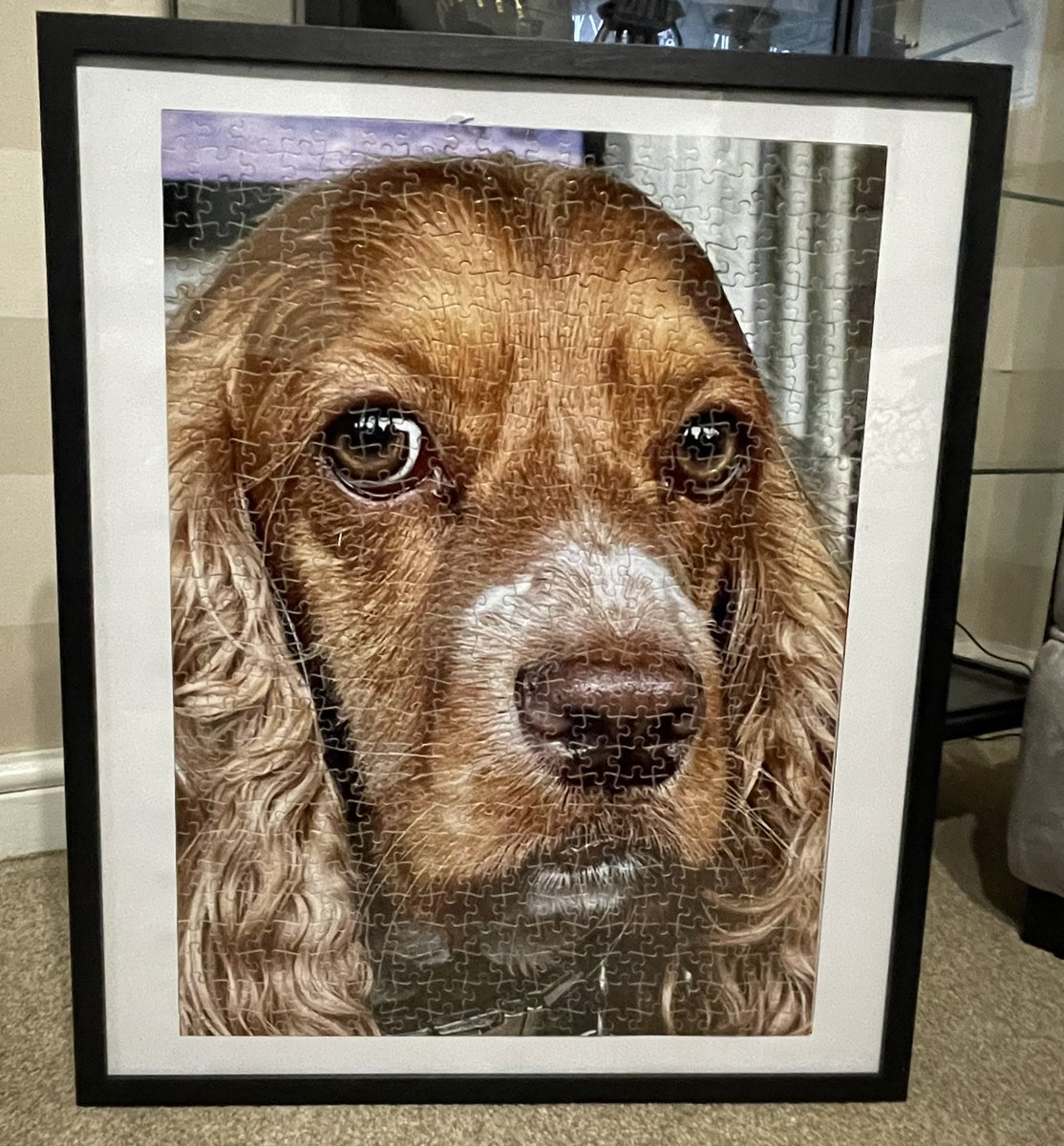 Jigsaw puzzle what a nightmare , worth it though