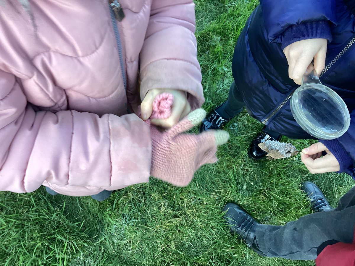 TadPrimaryAcad's tweet photo. Jupiter team were investigating seasonal changes and observing clues about winter. #TadcasterScience @eboractrust https://t.co/eyfKXkgWxz
