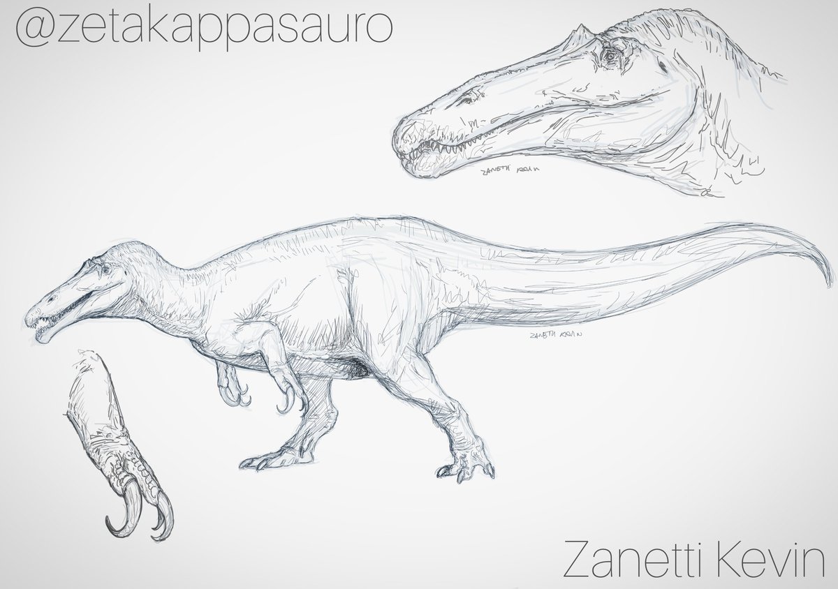 ZKappasauro's tweet photo. Just a Suchomimus 
#suchomimus #spinosaurus #dinosaurs 
#paleoart https://t.co/4D82DYwg1I