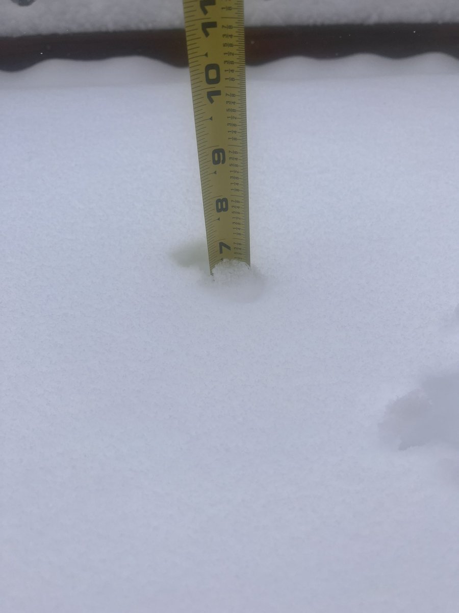megsukut's tweet photo. @DanThomasWSMV @WSMV Antioch https://t.co/ZEzIuISfXT