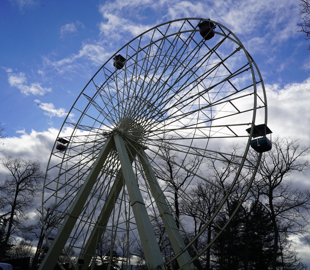 SFGrAdventure's tweet photo. And so, it begins! https://t.co/AdekIVyQMO