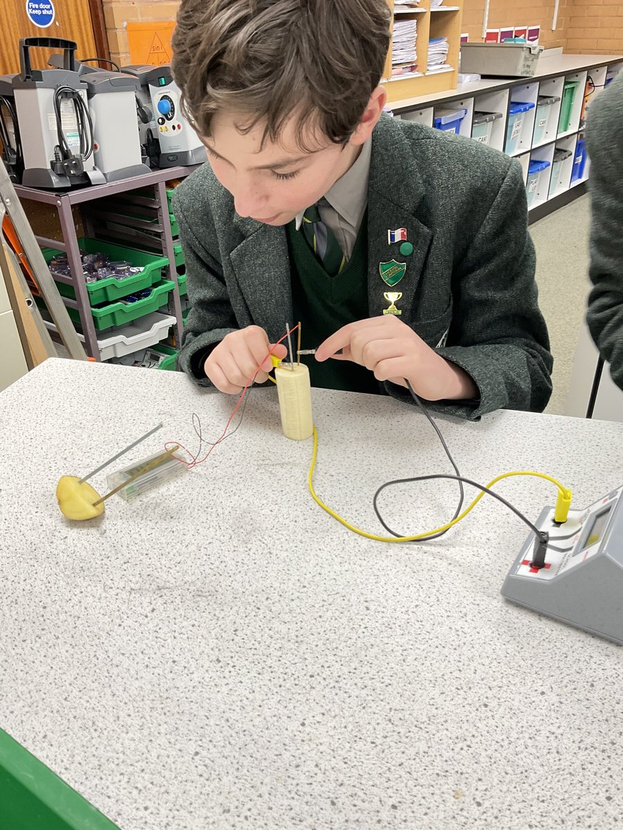 CCSBScience's tweet photo. #CCSTEMClub are having an electrifying time investigating which combinations of metal electrodes and fruits generates the greatest voltage #CCBelong #CCChallenge #CCExplore https://t.co/xVNYbpy84A
