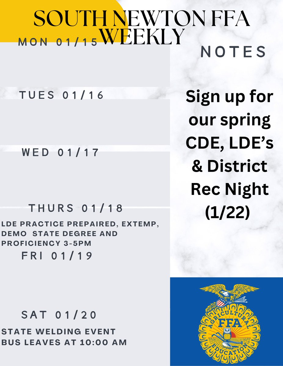 This week's activities!