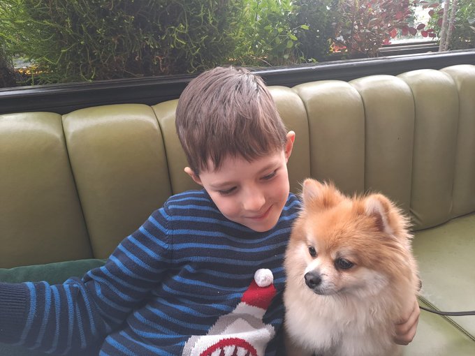 ford_abandon's tweet photo. Someone made a new friend during our breakfast date. https://t.co/KrhHybEYp4