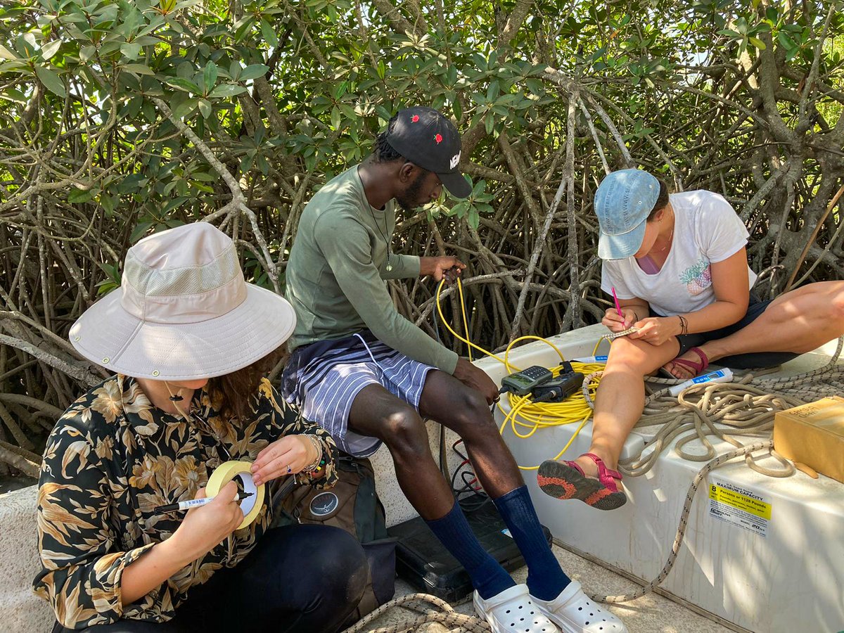 pacifique_ch's tweet photo. 🔬 End of sampling #campaign for the second group of @InstituteGreat students.
With a reduced staff, the team continues its studies of the #mangroves in Bitang Bolong.

@UNIGEnews @sciences_UNIGE @SwanseaUni @AquaticPhysics @MaiyaiH @ceordone https://t.co/axYTaZeDlX