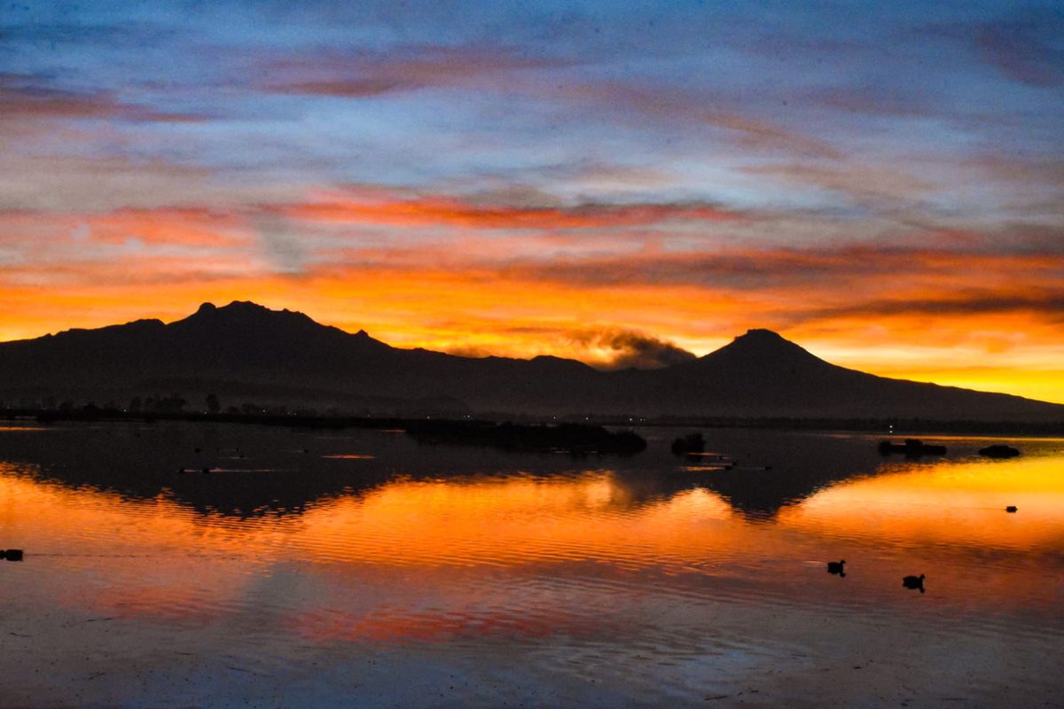 turismocdmx's tweet photo. Este #InviernoCDMX nos ha regalado fantásticos paisajes al amanecer.
Desde las lagunas de Tláhuac Xico, recientemente declarada Área de Protección de Recursos Naturales,
@TlahuacRenace nos comparte esta postal capturada por Eduardo Martínez.
#LaCiudadQueLoTieneTodo https://t.co/N3zudQCWkY