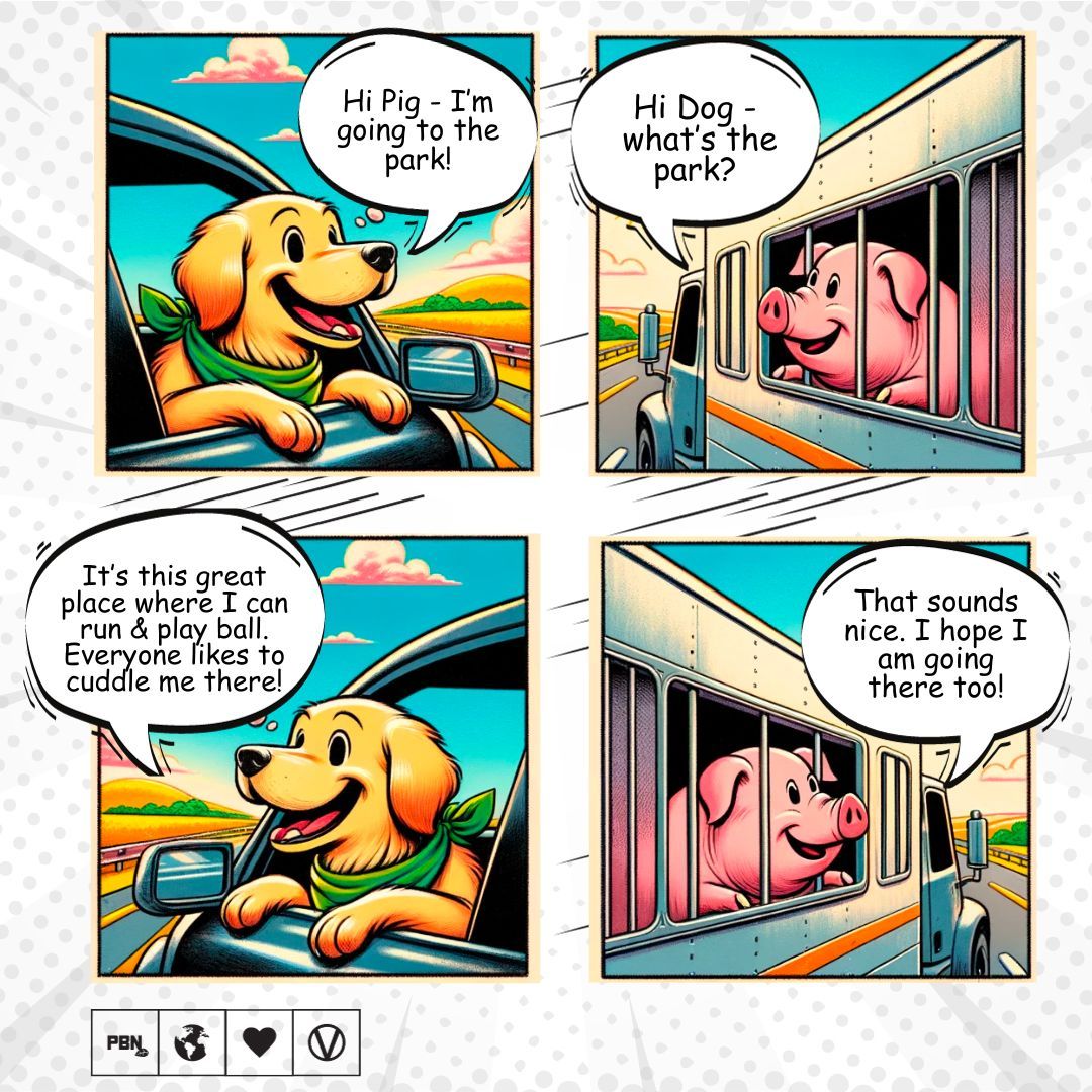 Our perception matters. Did you know that pigs have a similar level of intelligence to dogs?

Time to make a kinder choice? Tell us your thoughts in the comments 🐷 🐶