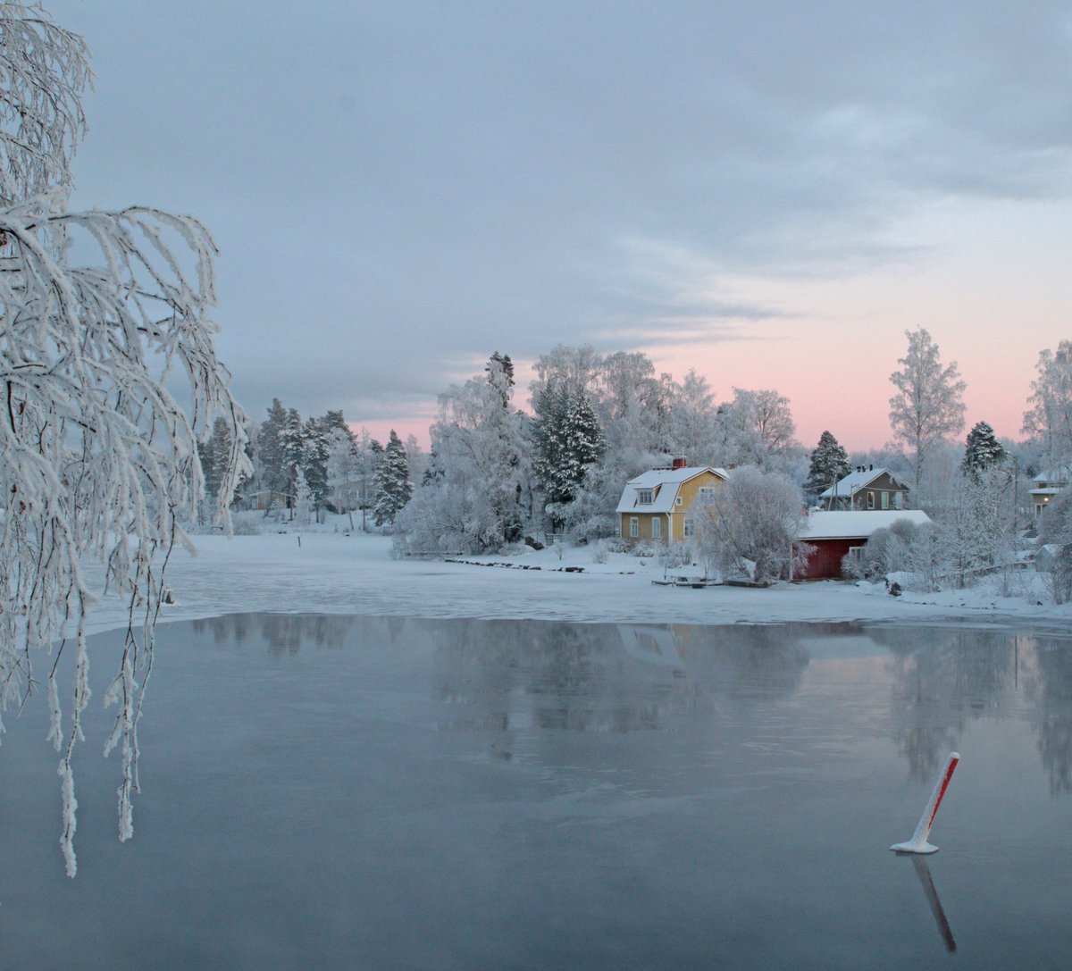 RitvaSavolaine1's tweet photo. @RitvaSavolaine1 Pakkaspäivän kuuraista maisemaa! #frozenmorning #wintermoment #kuura #winter2024 #mallasvesi #canonphotography https://t.co/vSvIXnQiNN
