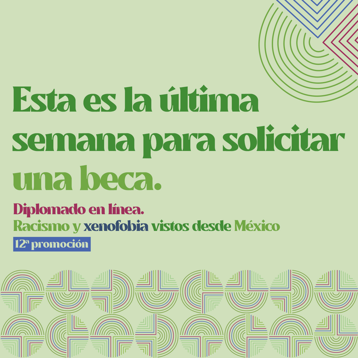 surxeunam's tweet photo. 📋Regístrate
https://t.co/GCjBq6S6Ov

💰¡Y solicita una beca ya!
https://t.co/57WTyyqY0U

📨Para mayores informes escribe a educacion@surxe.org

#SURXE #DiplomadosOnline https://t.co/YkFKGXw8q1