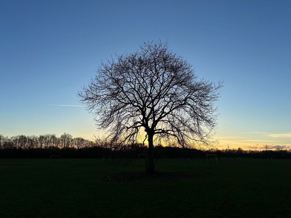 Blue sky all day long today from #sunrise to #sunset in the Chorlton borders #manchester in @ryebankfields and @OurTurnMoss #365dayswild #wellbeing #nature #therapy #outdoors #mindfulness #naturephotography #health #mentalhealth #BlueMonday #therapistsconnect #selfcare