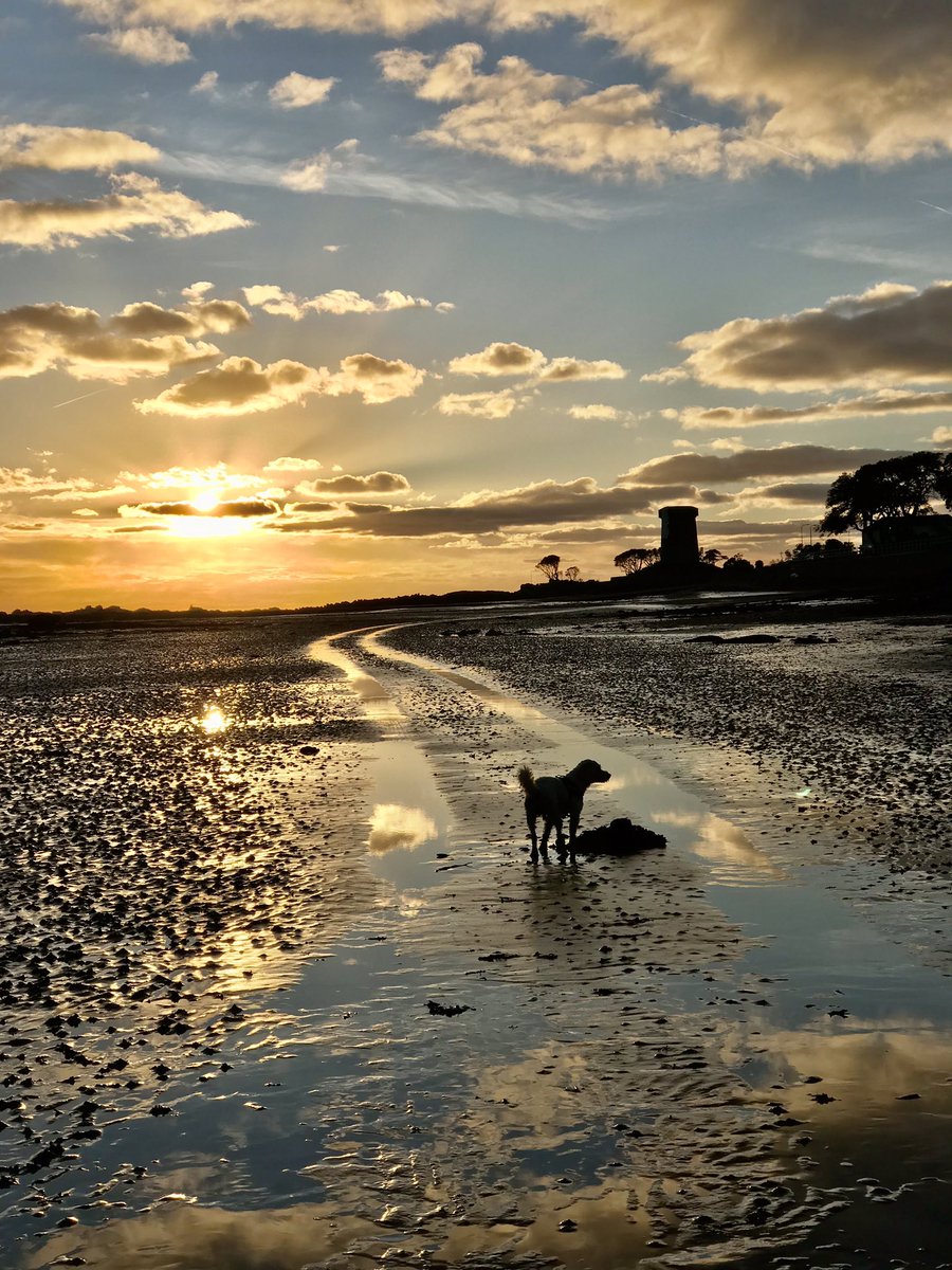 Rose Naylor tweet media