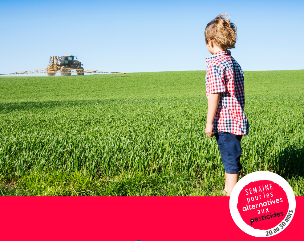 Prefet74's tweet photo. #SPAP Les pesticides ont pour fonction de tuer des champignons, des insectes, des plantes. La semaine pour les alternatives aux pesticides met l’accent sur la dimension sanitaire de la problématique pesticides. Ensemble, cultivons l'avenir !
🌱👩🌾 https://t.co/02CwLHM0mI https://t.co/2qWTGNQkjG