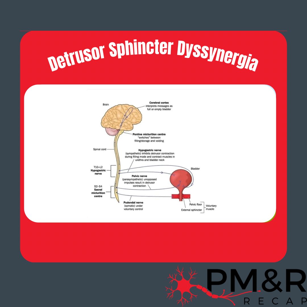 PM&R Recap tweet media