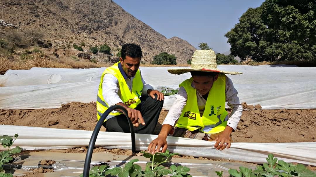 SFDYemen's tweet photo. لبناء مستقبل أكثر اخضرارا وتكيفا وشمولا، يقوم الصندوق الاجتماعي للتنمية بتمكين صغار المزارعين بالمعارف والأصول الحديثة بغرض تمكينهم من الحفاظ على مواردهم ورفع انتاجهم للغذاء.

نعمل سويا مع شركائنا #CEFA و @IFADarabic في إرساء أفضل الممارسات من أجل يمن منتج.

#YemenCantWait https://t.co/iFXnejGavO