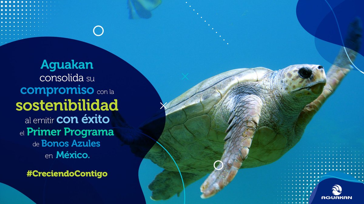 DHCAGUAKAN's tweet photo. Aguakan, comprometidos con el suministro de agua potable en Quintana Roo. Cuidamos los recursos mientras satisfacemos las necesidades de la comunidad. Nuestra inversión en Bonos Azules contribuye a la preservación de la biodiversidad marina. #CreciendoContigo https://t.co/oMhPprIV7r