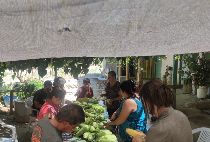 carognr's tweet photo. #alerta desde melocura región del Maule  en las humas https://t.co/b59b26rIGu