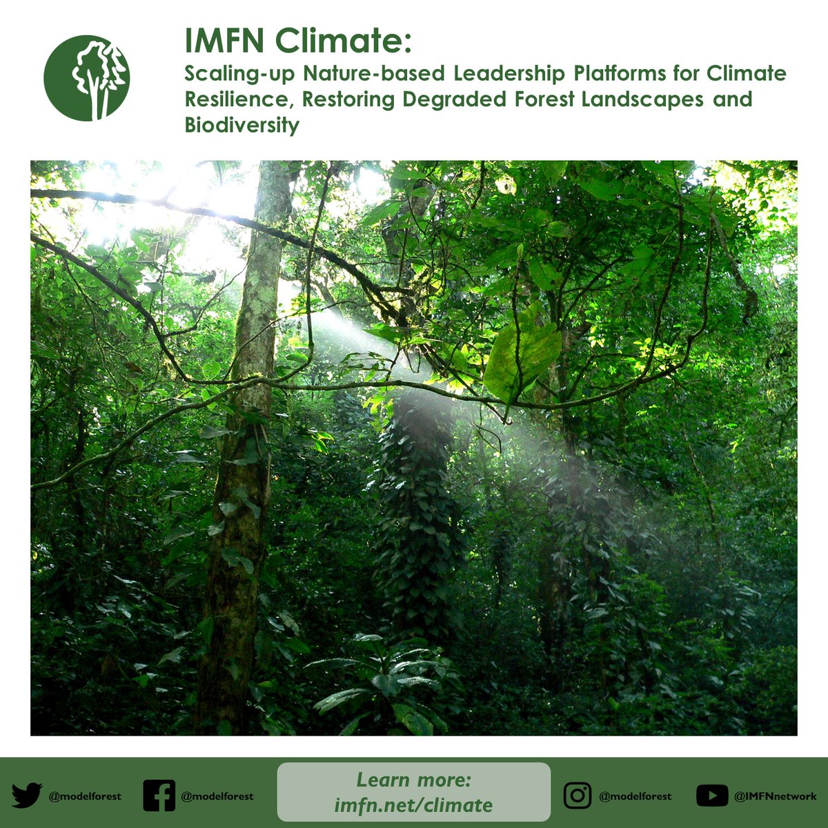 🌿 There is no solution to climate change and terrestrial biodiversity loss that does not involve healthy forest ecosystems. Learn more 👉 bit.ly/46YnDOS #IamModelForest @FAOForestry @GPFLRtweets @CIFOR @CATIEOficial @NRCan @IUCN @IUCN_forests